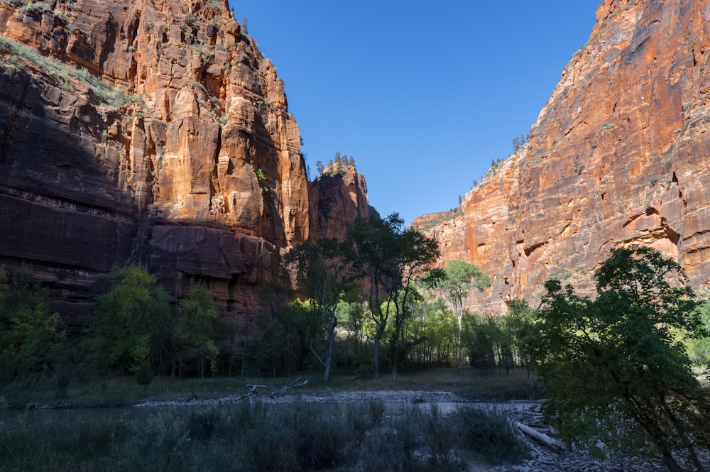 a river running through a canyon surrounded by mountains