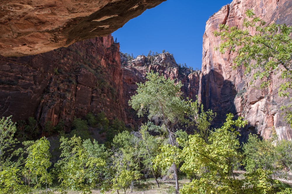 a view of a canyon with trees and rocks