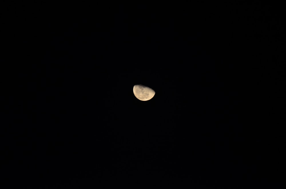 a half moon is seen in the dark sky