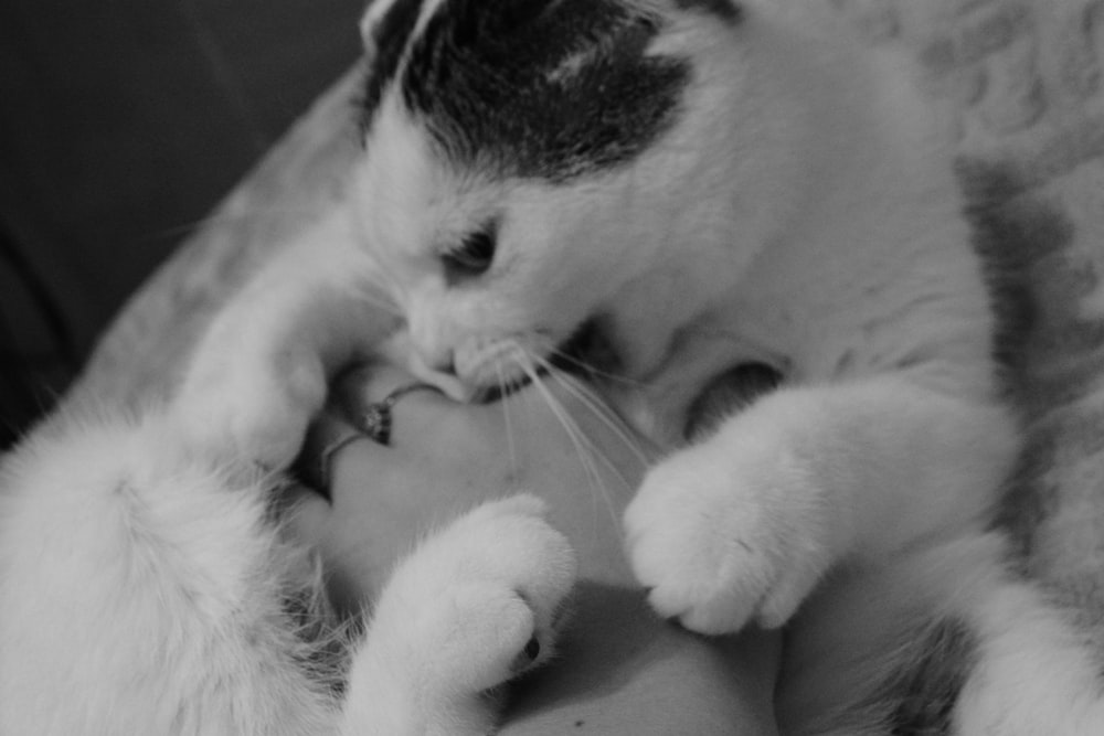 a black and white photo of a cat and a woman