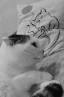 A smiling cat lying beside a beautifully framed artwork featuring its own likeness in subtle monochrome colors.