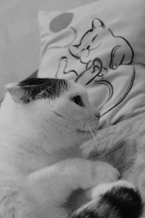 A smiling cat lying beside a beautifully framed artwork featuring its own likeness in subtle monochrome colors.