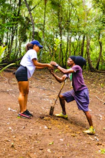 Volunteers planting trees in a reforestation effort.