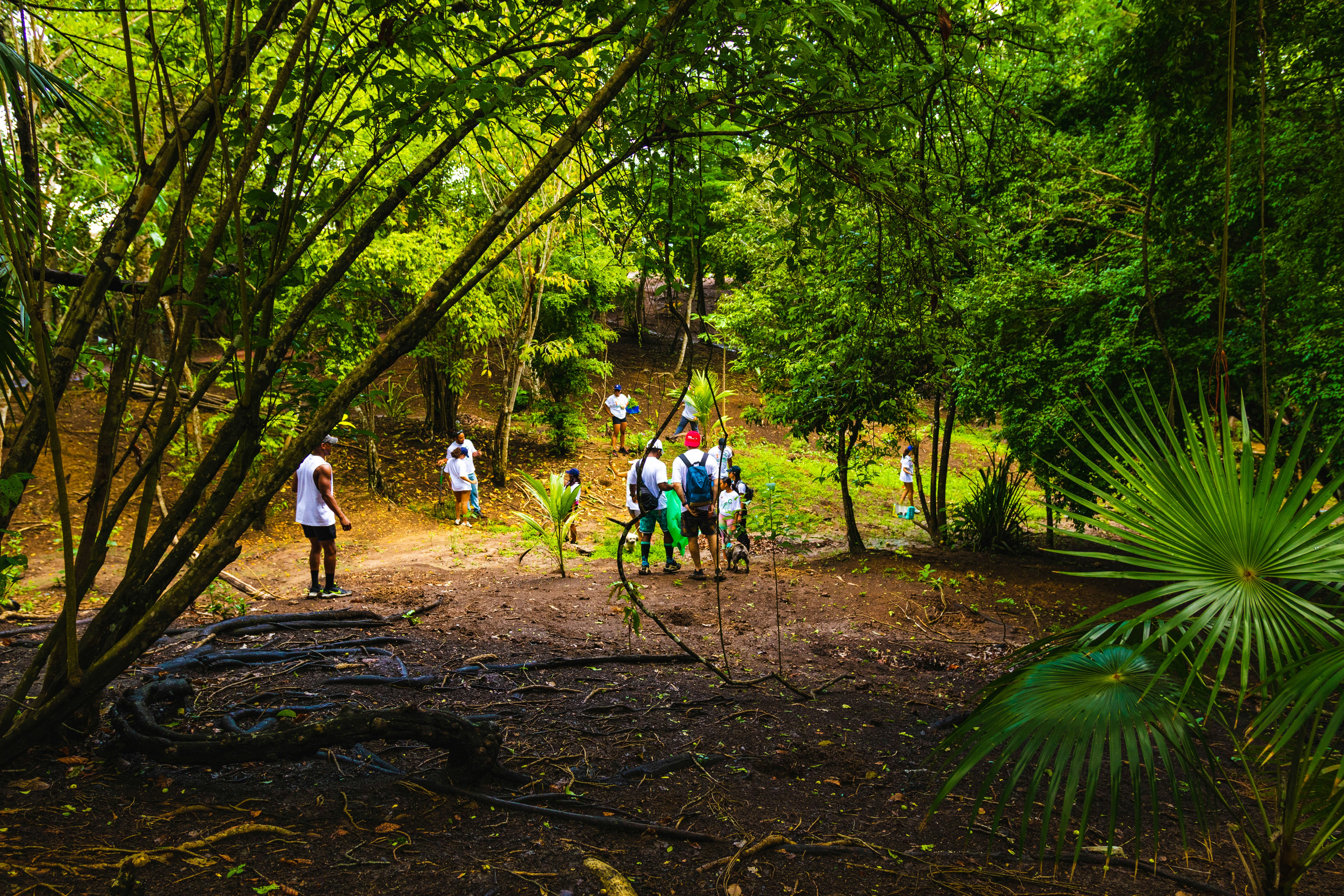 Equipos de Paintball para Aventura