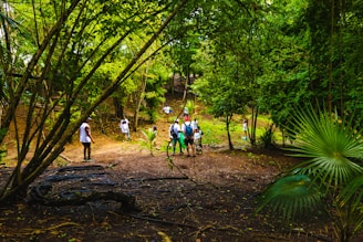A group of people, some wearing white shirts and shorts, are scattered within a green, forested area. They seem to be engaged in an outdoor activity or hike. The forest is thick with vibrant greenery, and the ground is slightly muddy with scattered leaves and branches. Sunlight filters through the trees, casting light and shadows across the scene.
