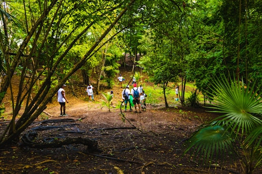 A group of people, some wearing white shirts and shorts, are scattered within a green, forested area. They seem to be engaged in an outdoor activity or hike. The forest is thick with vibrant greenery, and the ground is slightly muddy with scattered leaves and branches. Sunlight filters through the trees, casting light and shadows across the scene.