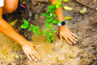 a person kneeling down next to a small plant