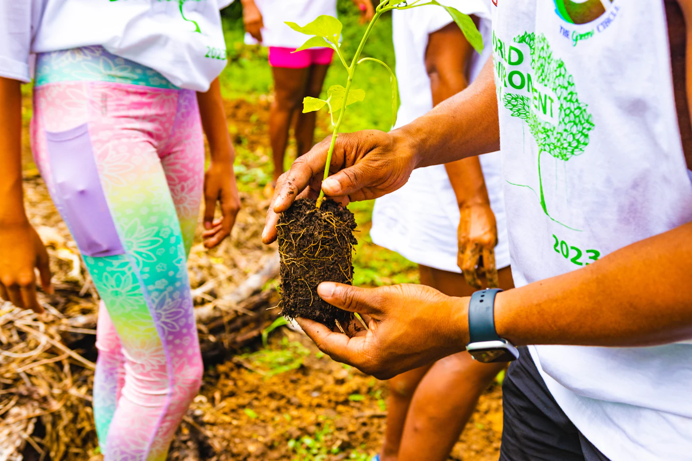 Des enfants et un adulte plantent un jeune arbre