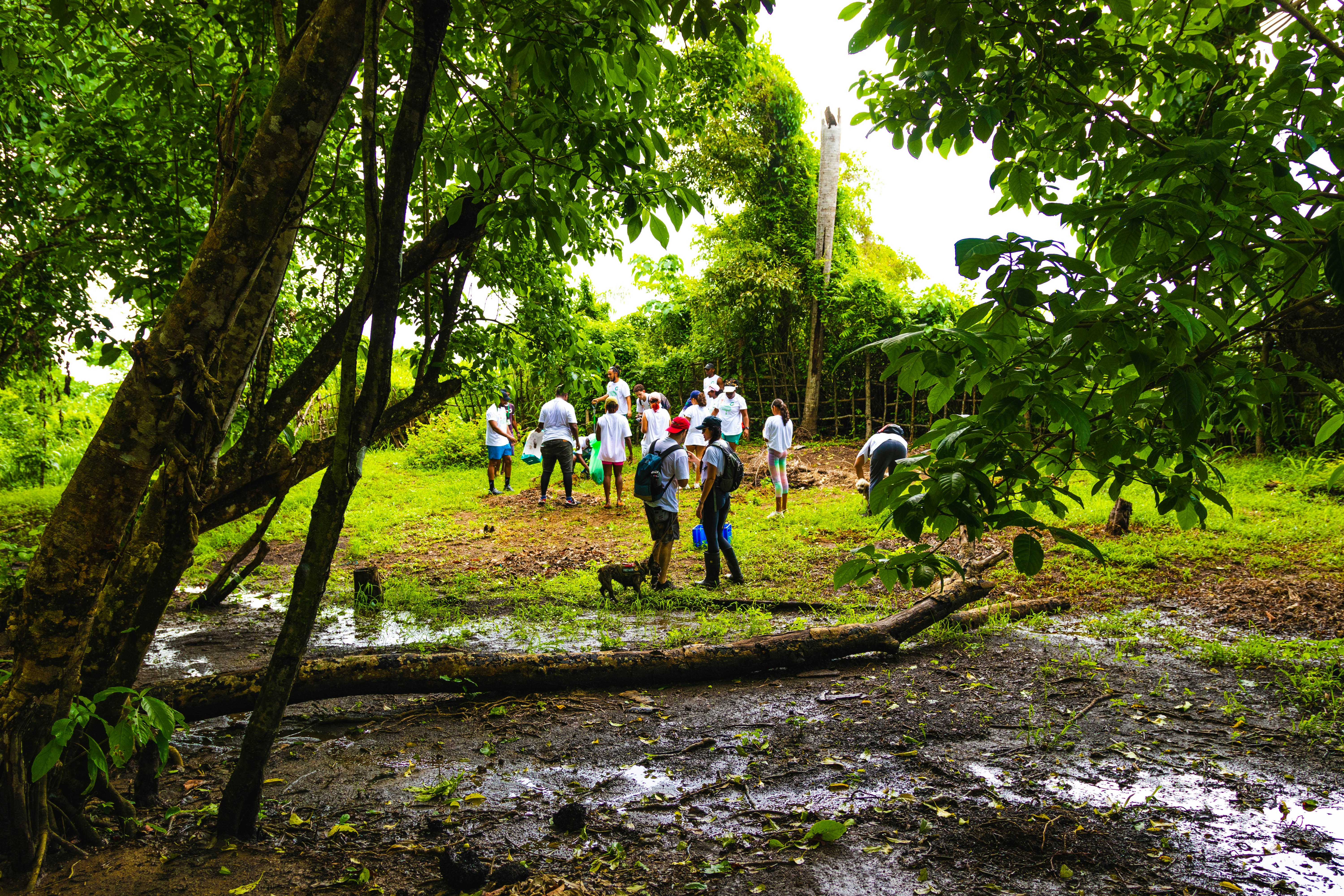 Join the Bedminster Land Conservancy: Volunteer Opportunities Await!