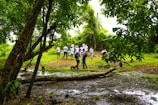 A group of people, dressed in casual clothing, are gathered in a lush, green forest clearing. The ground is damp and muddy, with scattered puddles and fallen branches. Large trees with dense foliage surround the area, creating a shaded environment. The people appear to be engaging in an outdoor activity, possibly related to conservation or education.