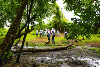 A group of people, dressed in casual clothing, are gathered in a lush, green forest clearing. The ground is damp and muddy, with scattered puddles and fallen branches. Large trees with dense foliage surround the area, creating a shaded environment. The people appear to be engaging in an outdoor activity, possibly related to conservation or education.