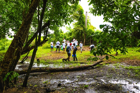 A group of people, dressed in casual clothing, are gathered in a lush, green forest clearing. The ground is damp and muddy, with scattered puddles and fallen branches. Large trees with dense foliage surround the area, creating a shaded environment. The people appear to be engaging in an outdoor activity, possibly related to conservation or education.