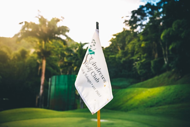 A golf course flag with 'St. Andrews Golf Club' written on it, placed on a lush green golf course surrounded by dense trees and palms under a clear sky.