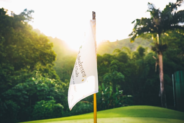 A sunlit golf course with lush green grass is depicted, featuring a flagpole with a flag labeled 'St Andrews Golf Club.' The flag is highlighted by the warm glow of the setting or rising sun, casting soft light over the surrounding trees and plants.