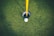 A golf ball rests near the edge of a hole on a neatly trimmed green. The yellow flagpole stands upright, indicating the location of the hole. The grass appears lush and well-maintained, providing a rich green backdrop.