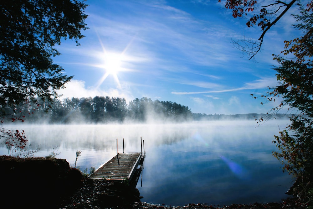 a dock sitting on top of a lake next to a forest