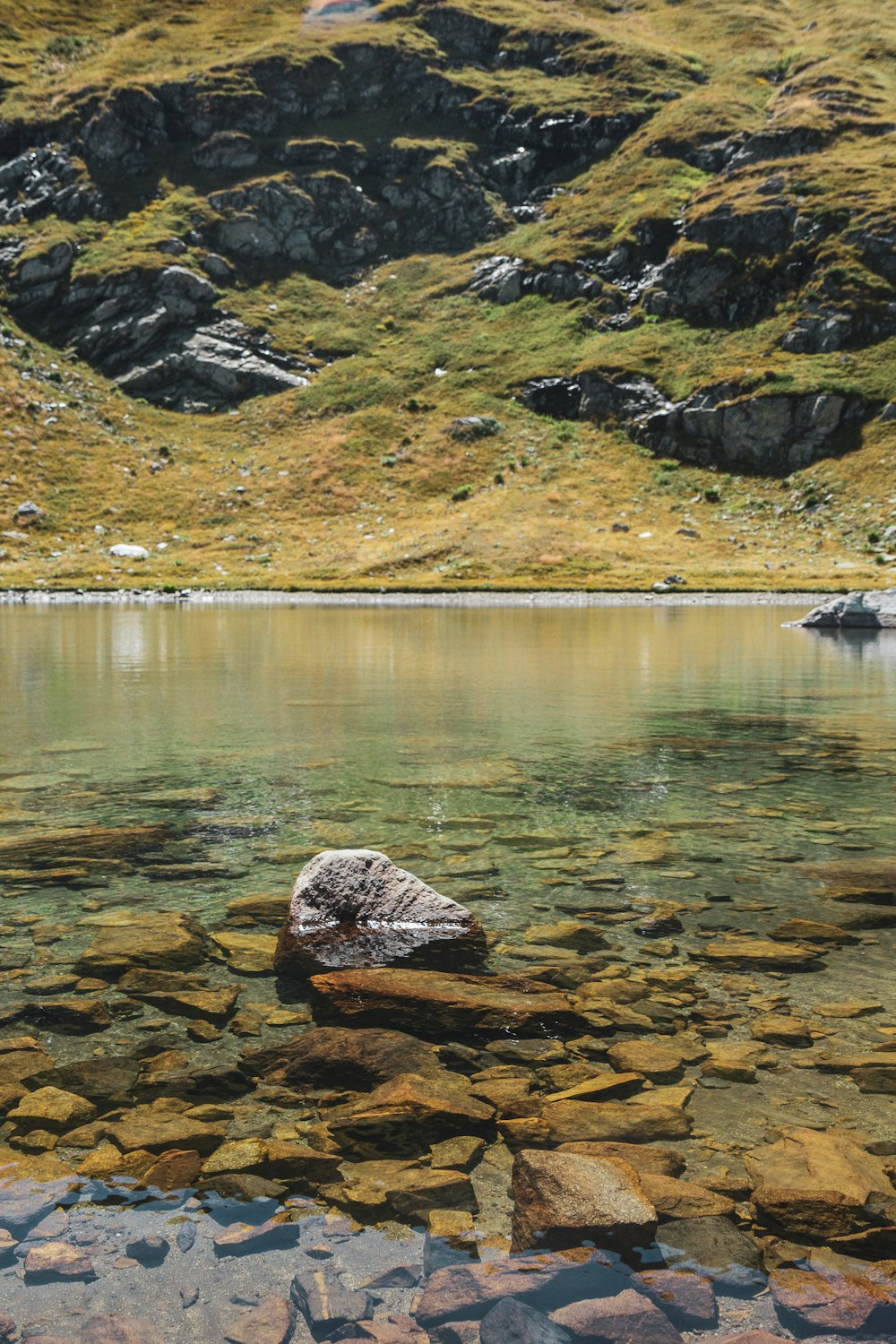 a large body of water surrounded by rocks and grass