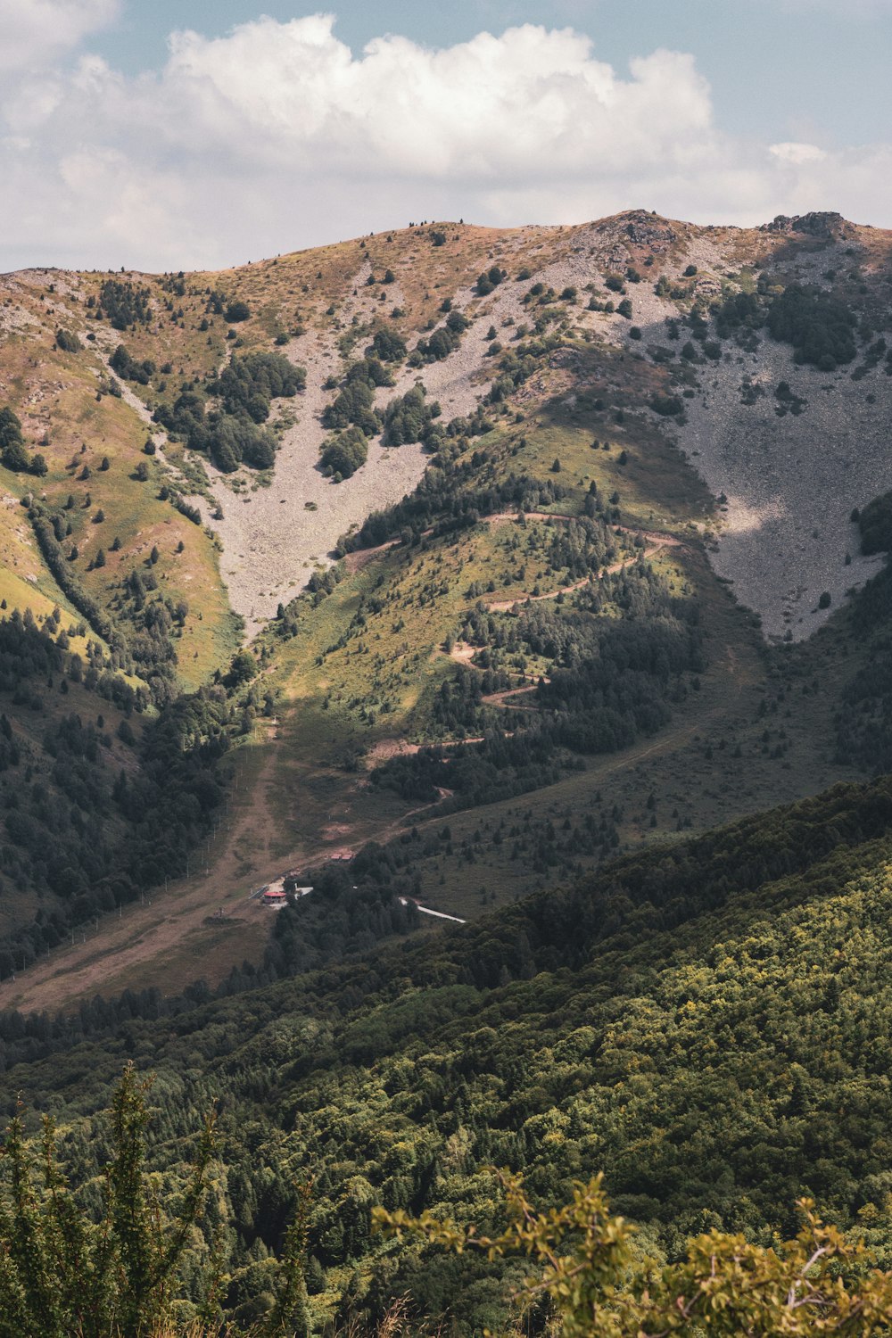 a view of a mountain range with trees on the side