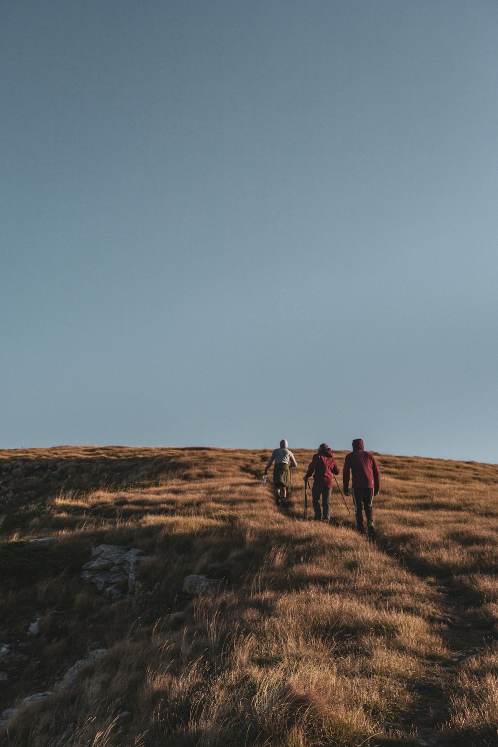 a group of people walking across a dry grass covered field