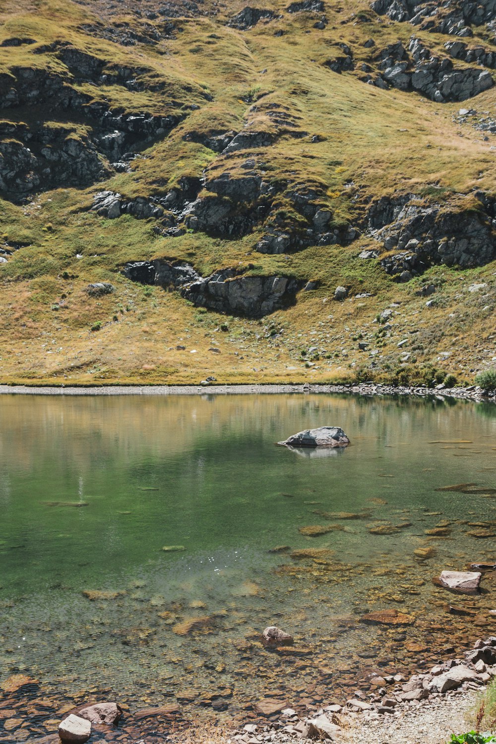 a body of water surrounded by grass and rocks