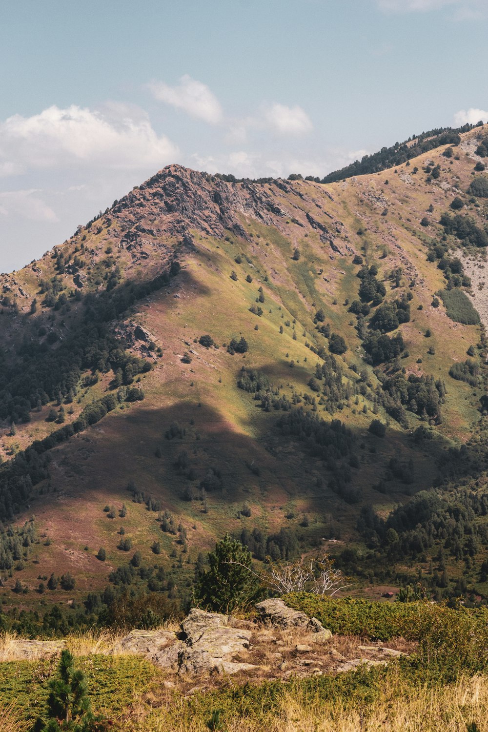 a large mountain with a few trees on top of it