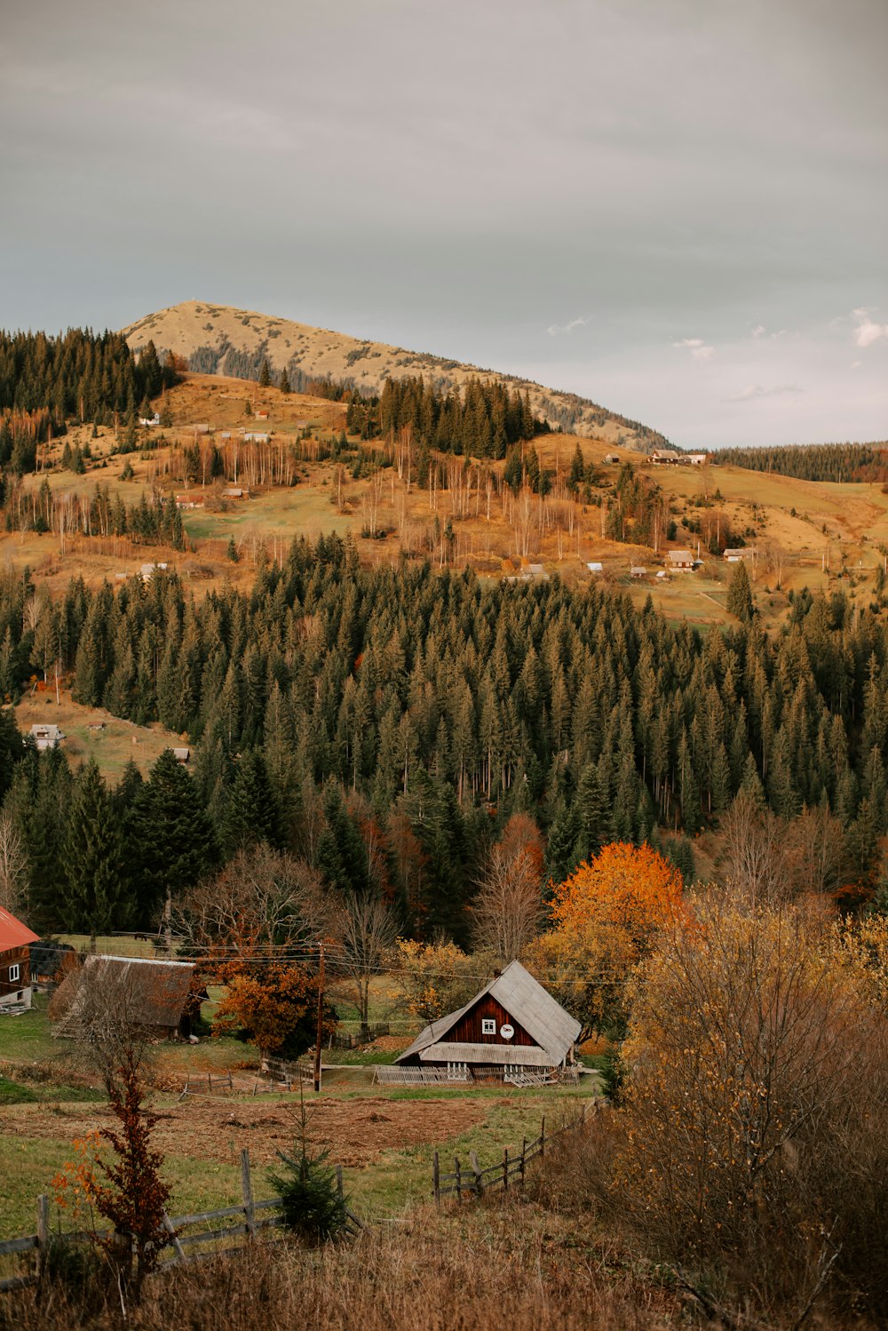 a small cabin in the middle of a field with a mountain in the background