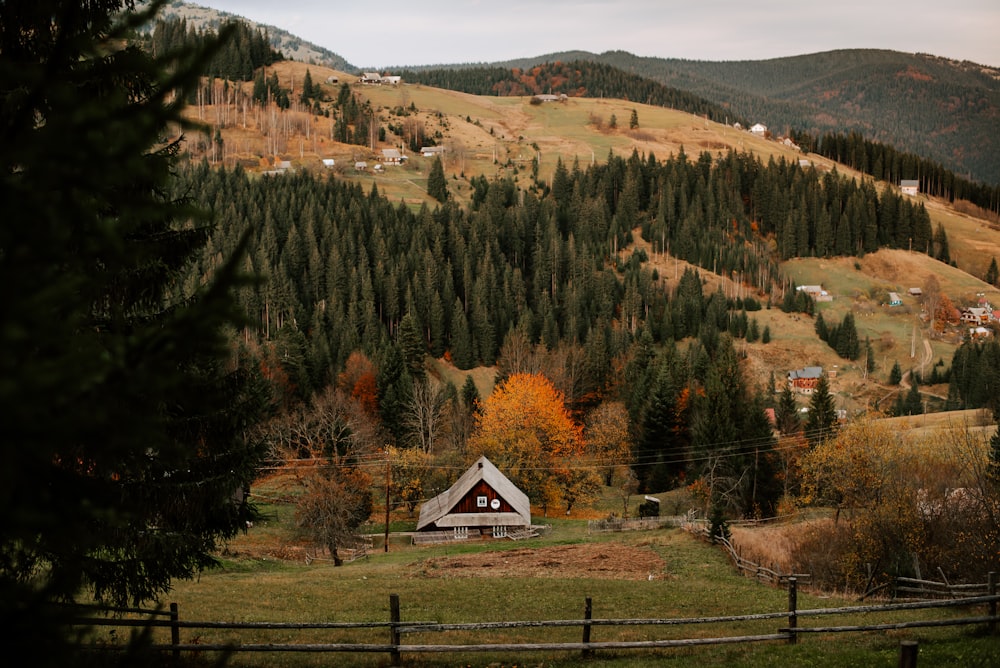 a small cabin nestled in the middle of a forest