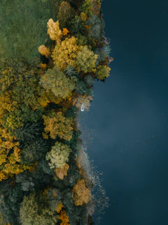 An expansive aerial view of a serene lake surrounded by autumn-colored trees in Lozère.