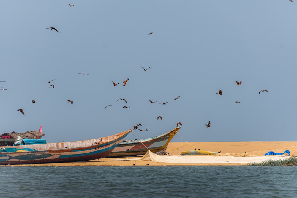 a flock of birds flying over a boat on the beach
