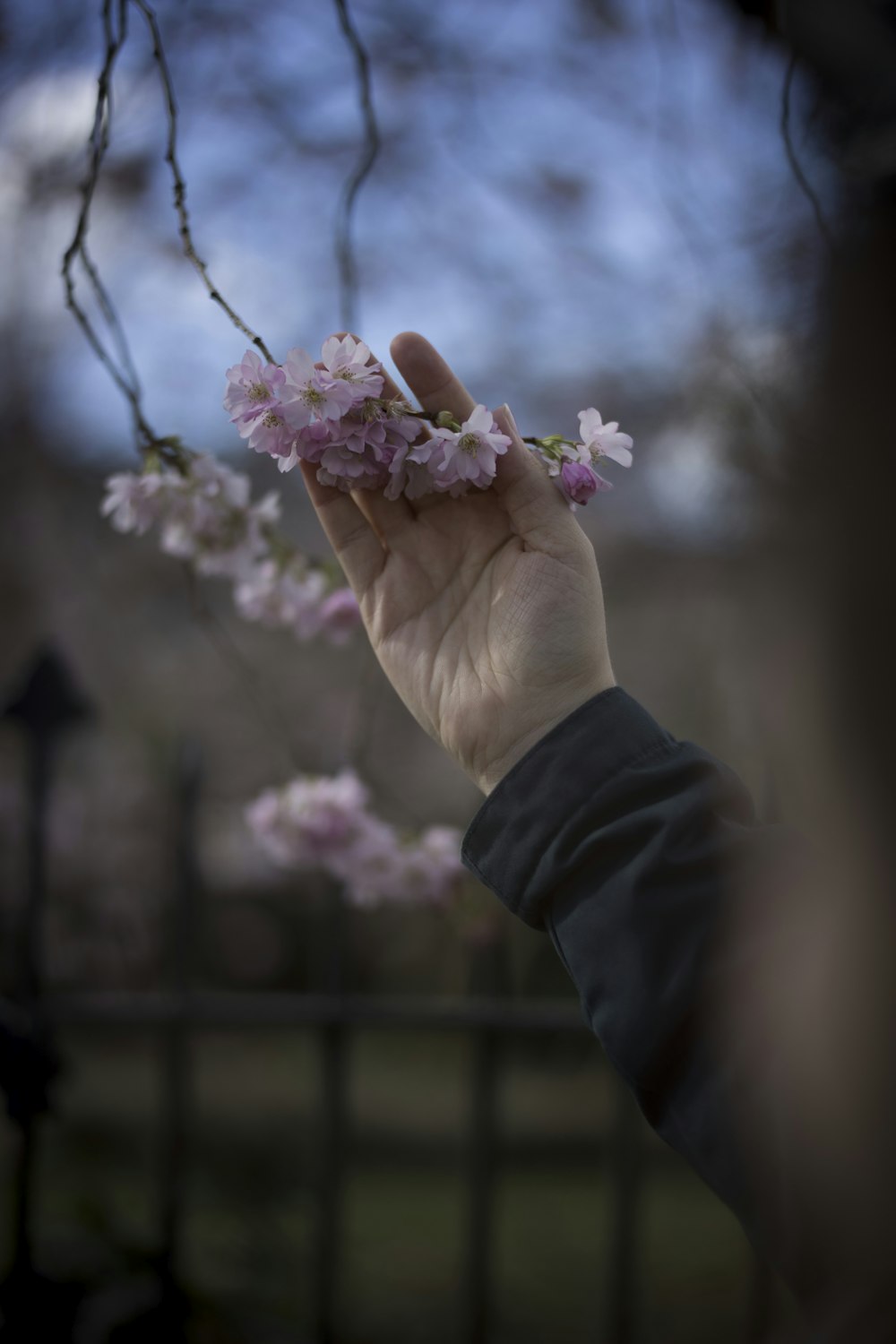 a person holding a flower in their hand