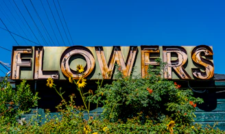A sunlit field showcasing rows of colorful, blooming flowers with a rustic wooden sign reading 'bloom & jude' in the foreground.