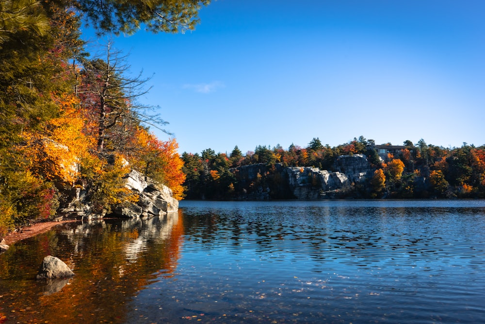 a body of water surrounded by trees and rocks