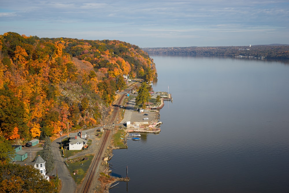 a body of water surrounded by a forest