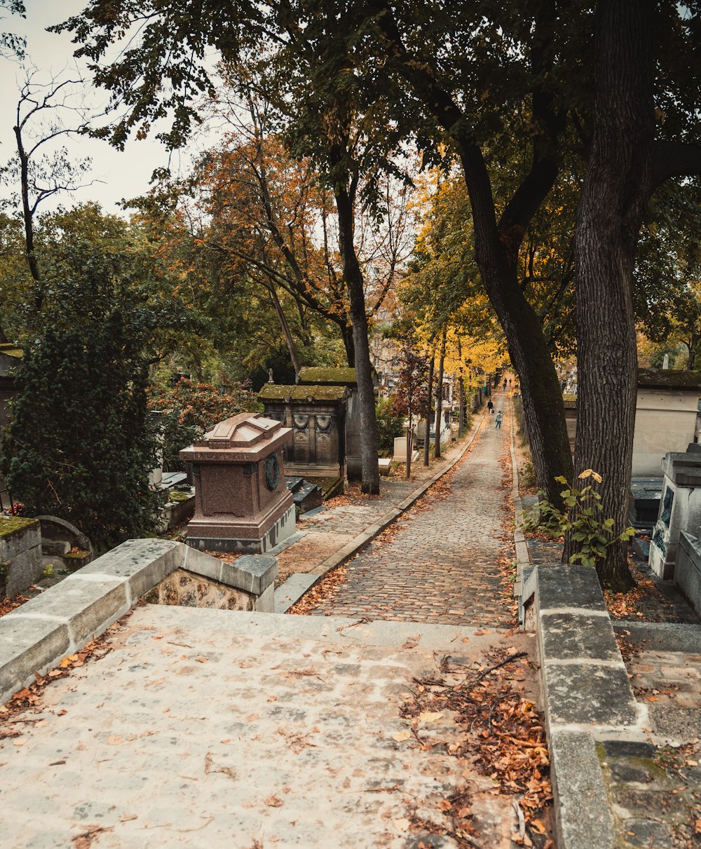 a park with a lot of trees and benches