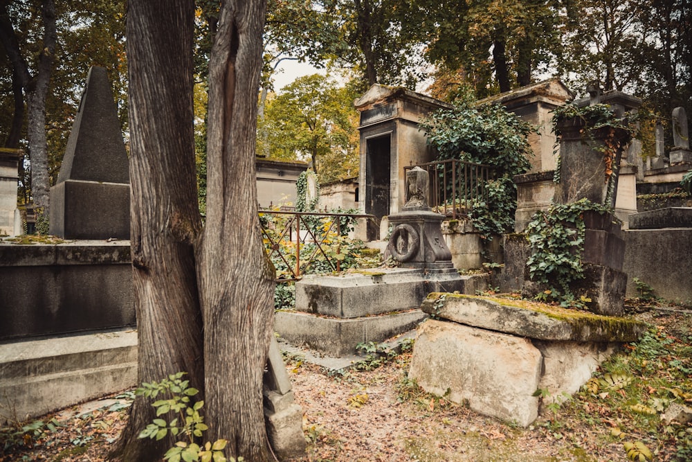 a cemetery with many headstones and trees