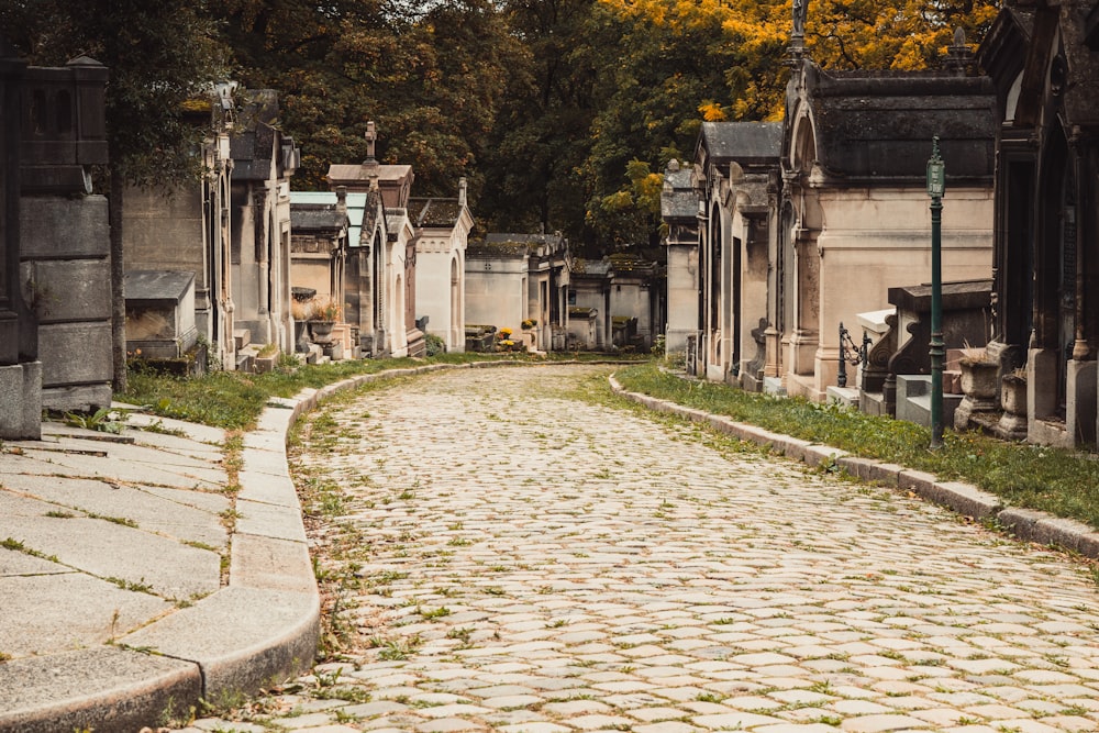 a cobblestone street in a cemetery with trees in the background