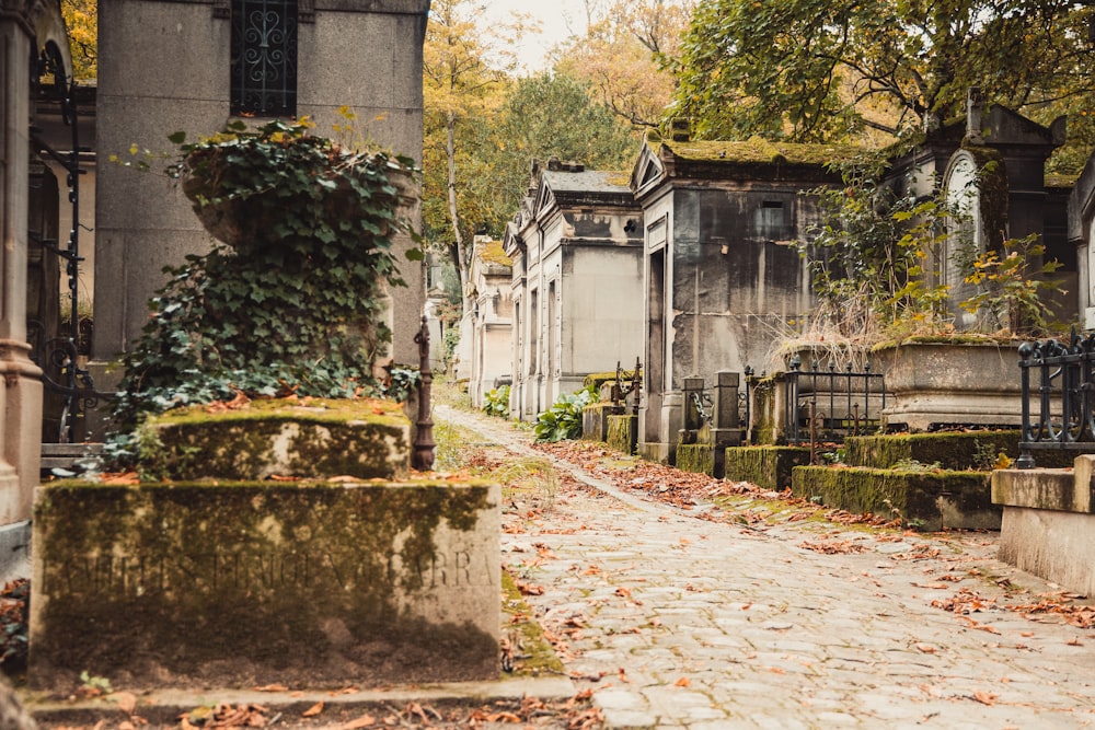 a cobblestone street lined with old buildings