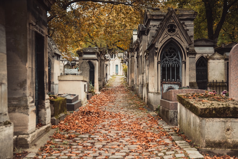 an old cemetery with leaves on the ground