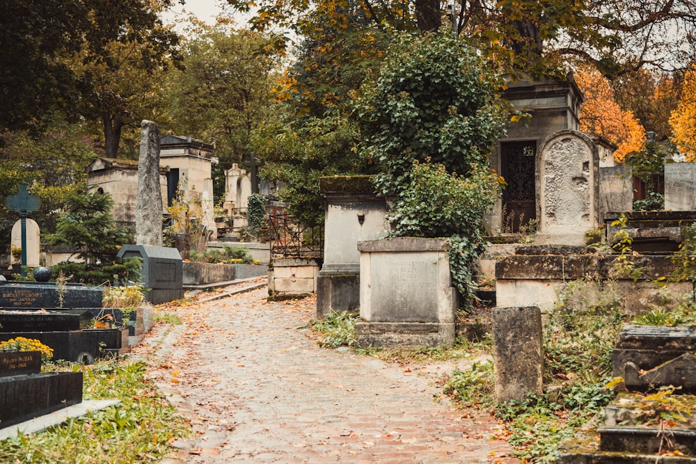 a cemetery with many headstones and trees in the background