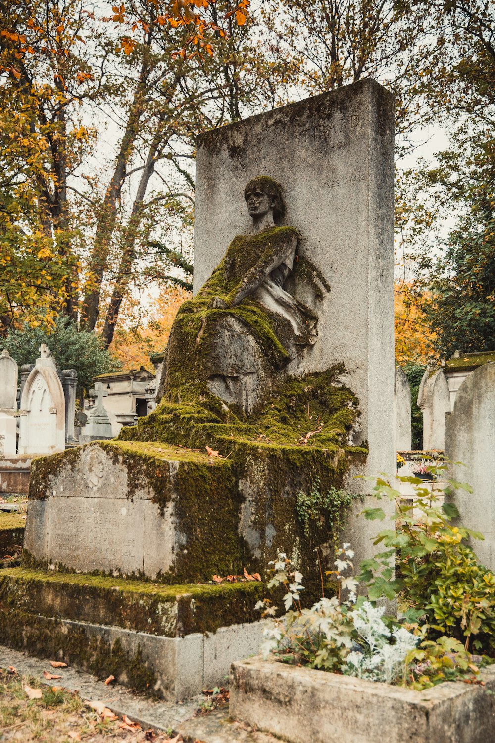 a grave with moss growing on it in a cemetery