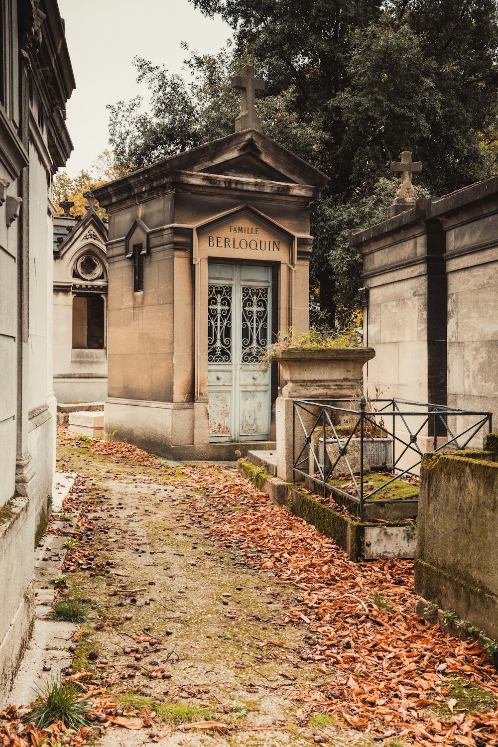 a cemetery with a blue door surrounded by leaves