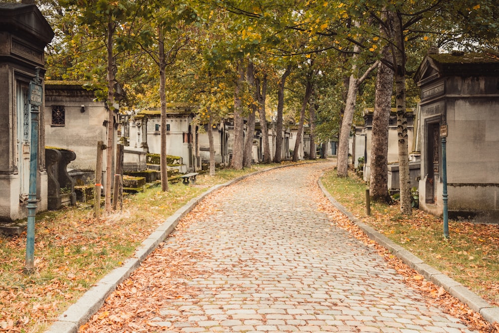 a cobblestone road in a park lined with trees