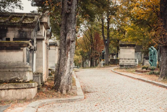 a cobblestone road in a cemetery surrounded by trees