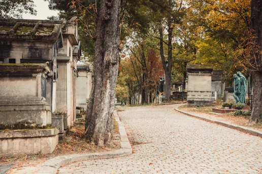 a cobblestone road in a cemetery surrounded by trees