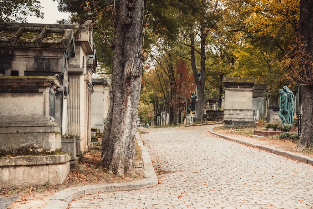 a cobblestone road in a cemetery surrounded by trees