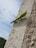 A green praying mantis is perched on a rough, textured beige wall with its legs gripping the surface. The sky in the background is partly cloudy, offering a soft contrast to the insect's vibrant color.