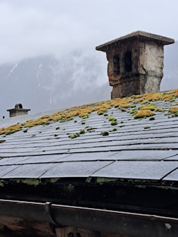 A weathered, sloped roof with moss and small plants growing between dark, flat shingles. Two stone chimneys protrude from the roof, one larger and more prominent than the other. In the background, foggy, snow-covered mountains can be seen under an overcast sky.