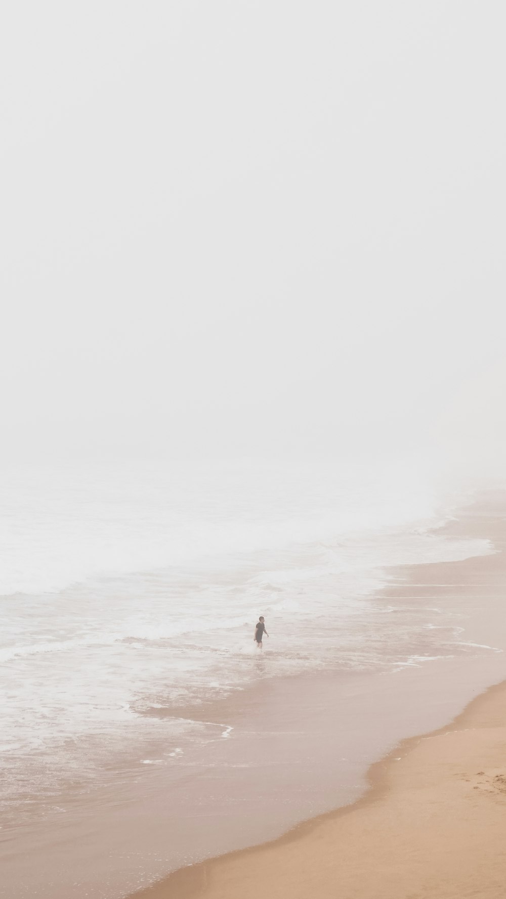 a person walking along the beach in the fog