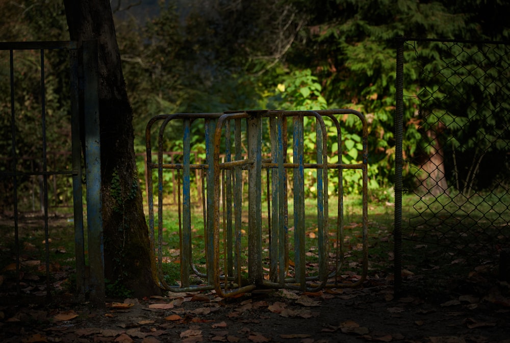 a gate that is next to a tree