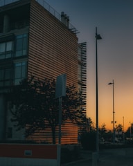 Modern residential building with elegant black and wood accents at sunset.